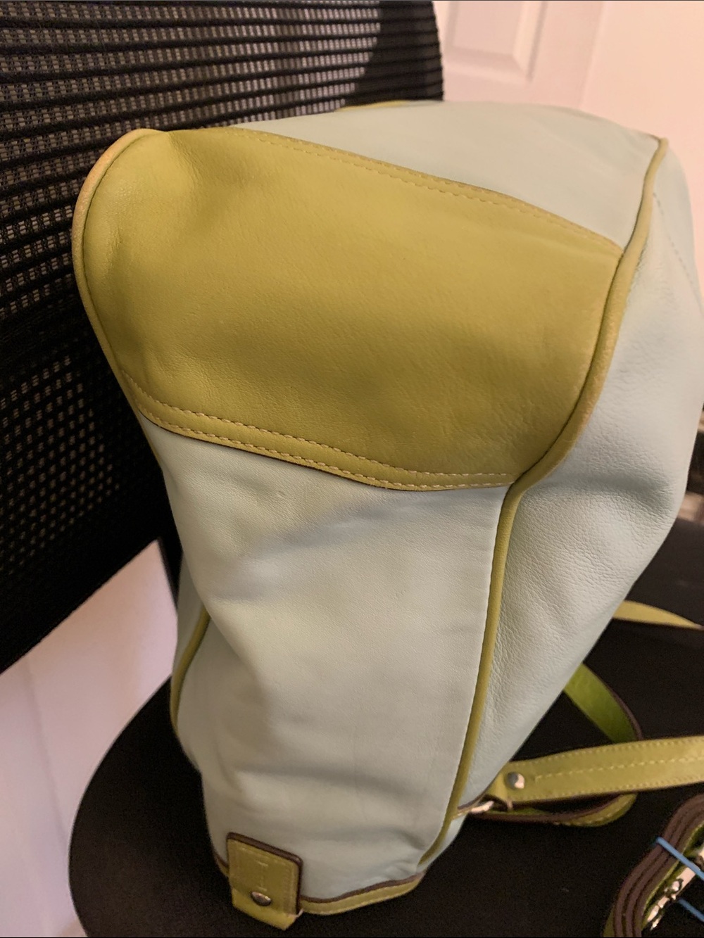 Sale ๐2010 Coach Laura Leather Carryall, in "Seafoam and Lime" - Picture 5 of 16